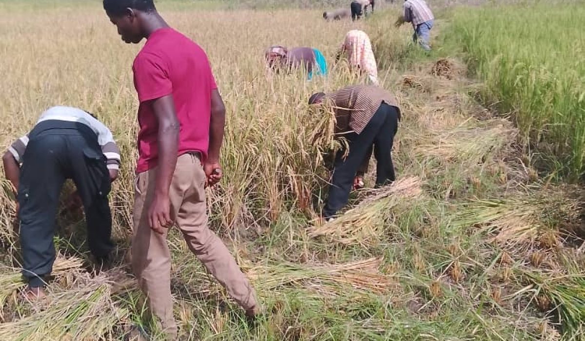 5533902b-c1ce-4c57-a589-5a28a381bd25